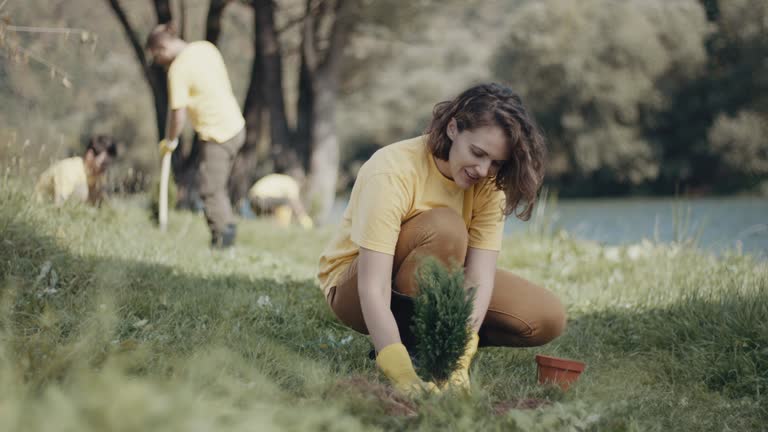 Best Lawn Mowing  in Mount Ayr, IA